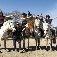 Activité sur le domaine : équitation