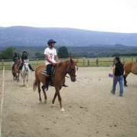 Activité sur le domaine : équitation