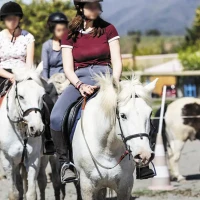 Activité sur le domaine : équitation